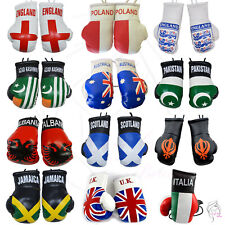 ALL COUNTRIES MINI BOXING GLOVES FOR CAR MIRROR