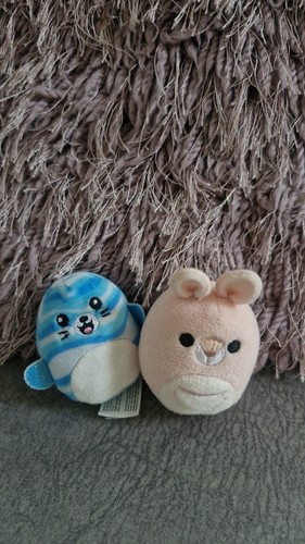 Condition squishmallows - vg,