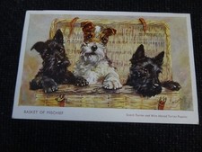 Artist Signed Mabel Gear Comic Dogs Scotch Terrier & Wired Hair Greetings Postc