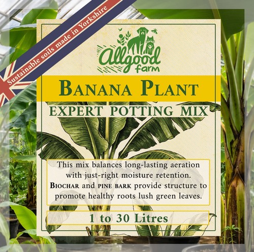 Banana plant potting soil mix - plant,