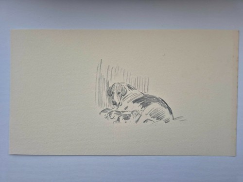 Antique pencil drawing fox - pencil,