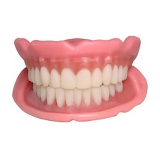Fast Self-Fitting Dentures for