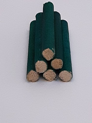 Model grreen timber logs - ,