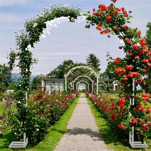 Wisfor metal wedding garden - metal,