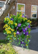 Artificial Flowers Plants Hanging Basket Trailing Garden Ivy Leaf Fern Foliage