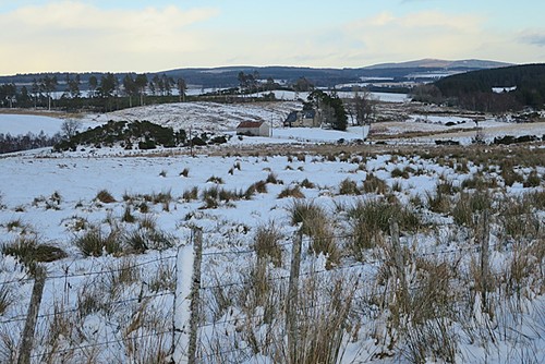 Photo 6x4 looking towards - 6x4,