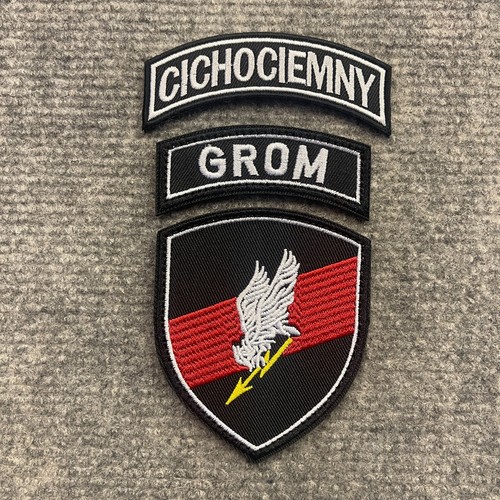 Polish army grom special - army,