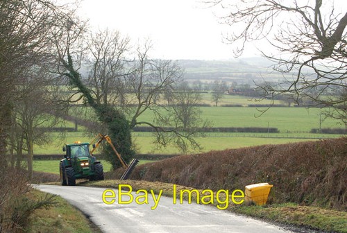 Photo 6x4 hedge flailing - 6x4, on