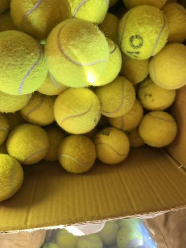 Used tennis balls - tennis, good