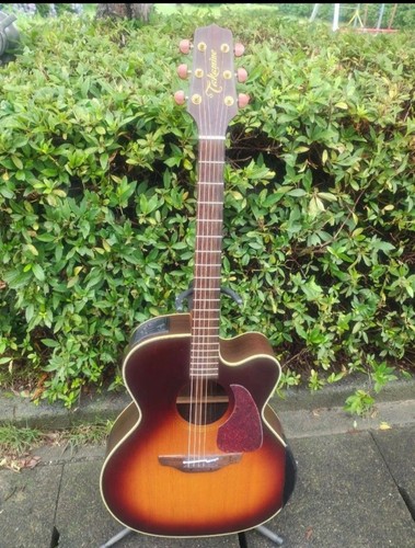 Takamine npt 012bs acoustic - takamine, npt-012bs