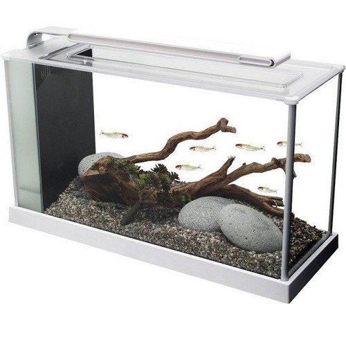 Fluval spec aquarium gloss - aquarium,