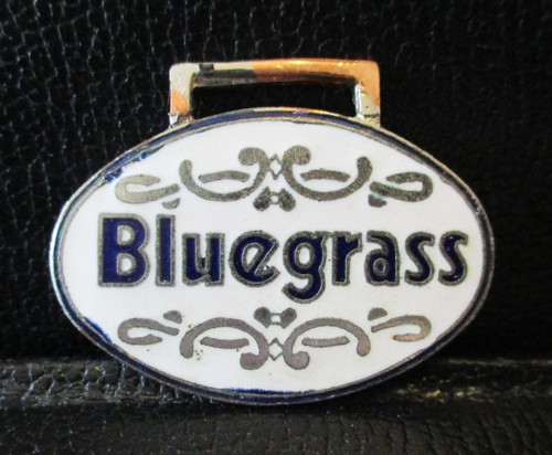 Bluegrass american roots - bluegrass, music