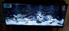 Aquarium Sand White Gravel