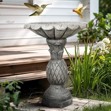 Concrete Birdbath for Birds
