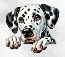 Dalmatian Dog Wall vinyl decal