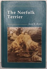 Norfolk Terrier by Joan R