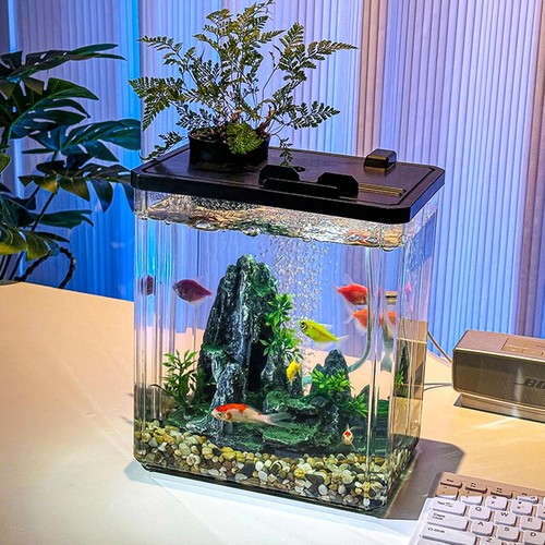 Small fish tank - small, tank,