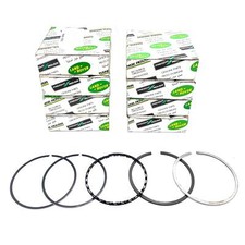 Genuine Piston Rings Standard
