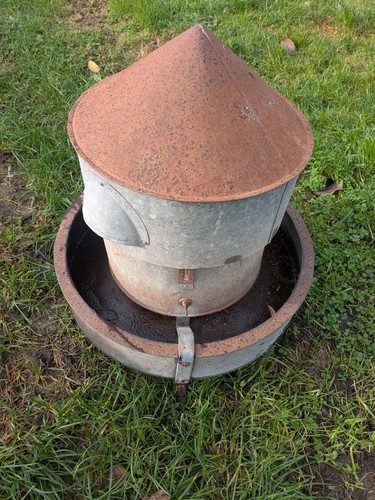 Large galvanised metal chicken - galvanised,
