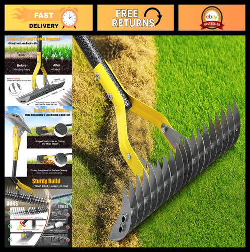 Dual action thatch - dual-action, rake