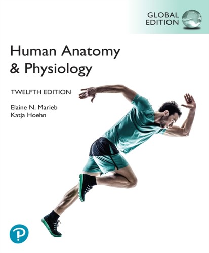 Human anatomy physiology - &,