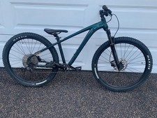 kona cinder cone 2022