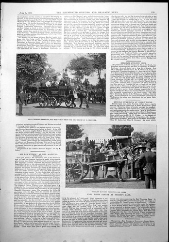 Old cart horse - parade, regents