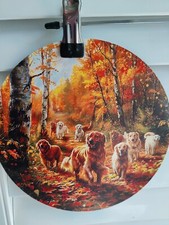 Golden retrievers in Autumn