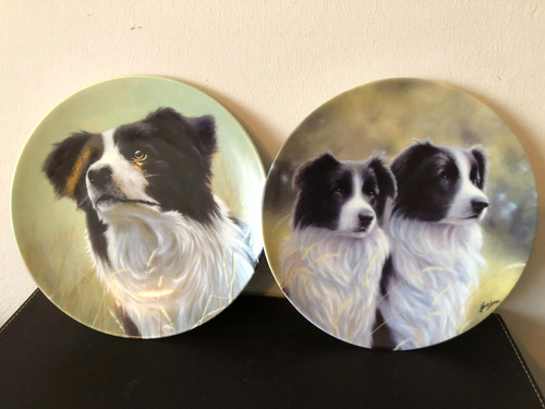Pair the border - border, collie'
