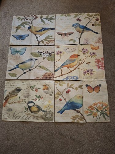 Pack bird themed - bird,