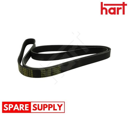Ribbed belt for ford - v-ribbed,