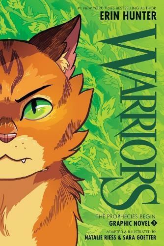 Warriors graphic novel - warriors, the
