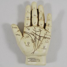 MEDIUM Palmistry Palm Reading