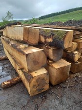  Large green oak beams