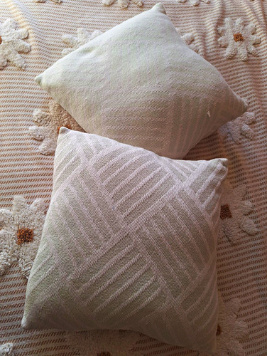 Pair square cushions mint - pair,