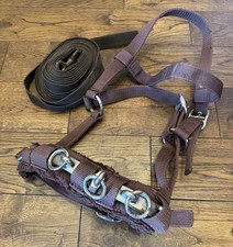 Full Size Shires Lunge Cavesson With Lunge Line