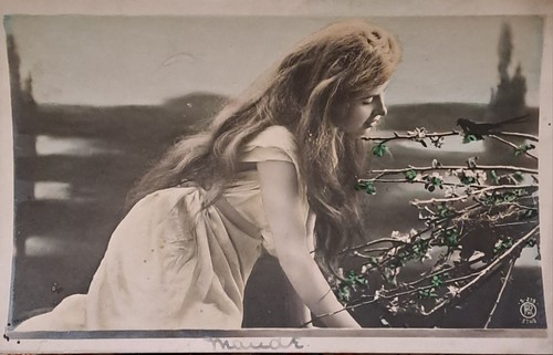 Vintage postcard edwardian - postcard,