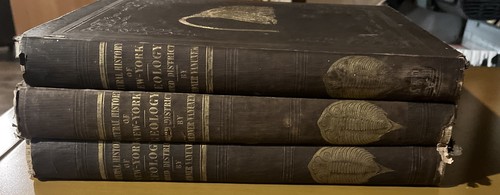 1842 geology new york part - geology,