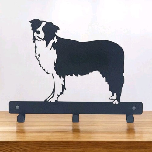 Border collie dog - border, hanger