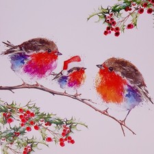 Cats Protection Christmas