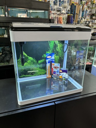 Aquarium starter kit - aquarium, coldwater