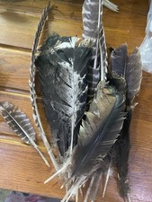 Turkey Feather Bundle
