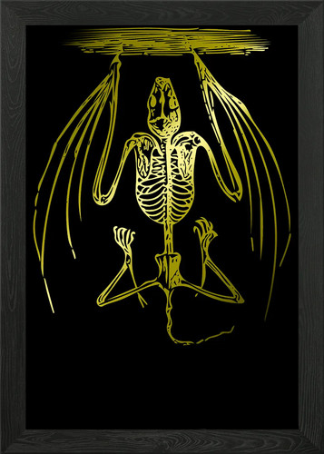 Bat skeleton framed wall - skeleton, art