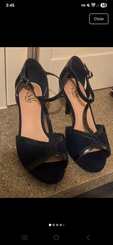 Navy blue kitten - navy,