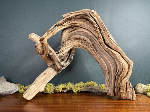 Manzanita driftwood - manzanita,