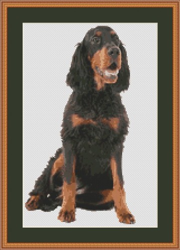 Gordon setter dog cross stitch - gordon,