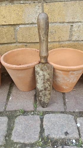 Vintage bulb garden - vintage,