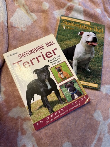 Staffordshire bull terrier - bull,