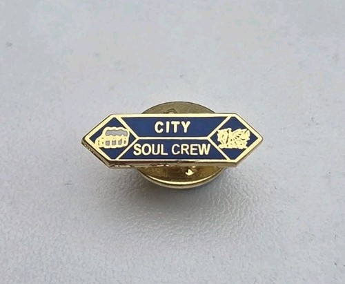 Cardiff city small micro - small, pin