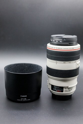 300mm 6l is usm - 70-300mm,